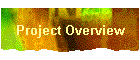 Project Overview