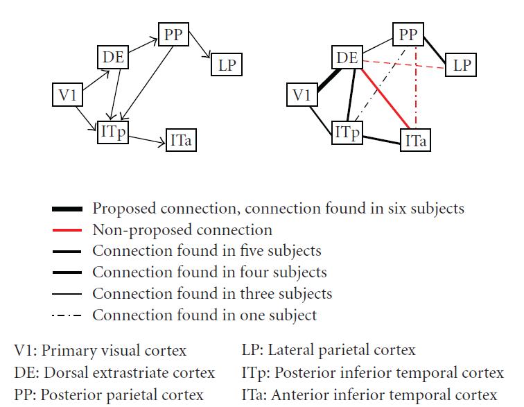 DTI and effective connectivity