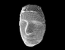 3DFace