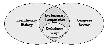 permanent and transient networks