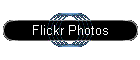 Flickr Photos