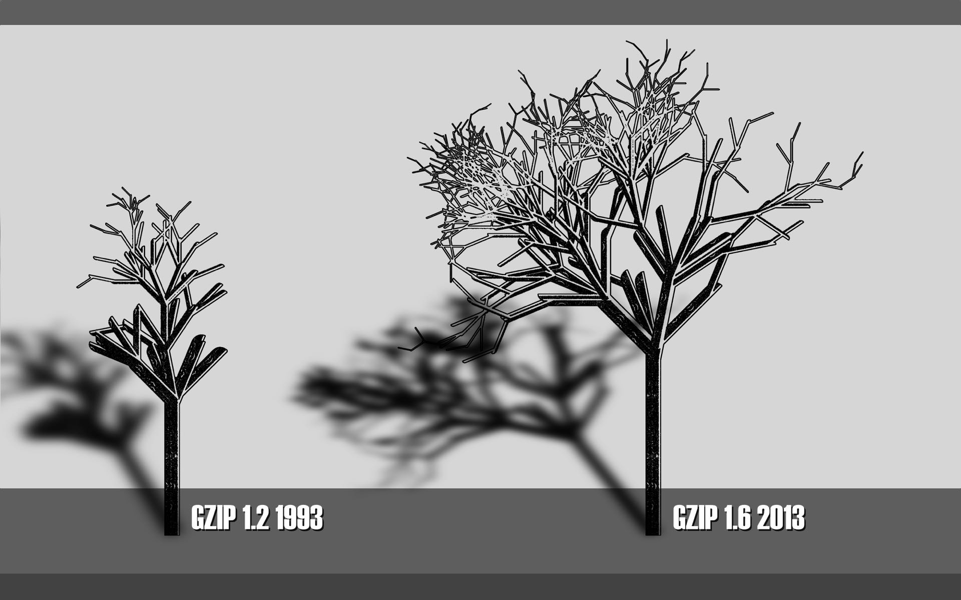 Evolution of gzip