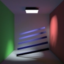 PhD - illumination by an synthetic incident light field