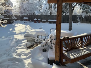 snow fort collins 17 apr 2020