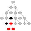 Example of failed disruption propagation (FDP).
With the code change
in red,
disruption only reaches the 4th level.
Therefore the evaluation at the root is identical.
Incremental evaluation stops when parent and child evaluations are equal,
since complete execution must give the same value
in parent and child, and the parent's fitness is known.
Black node evaluations are the same in parent and child.
Grey nodes not run at all.
