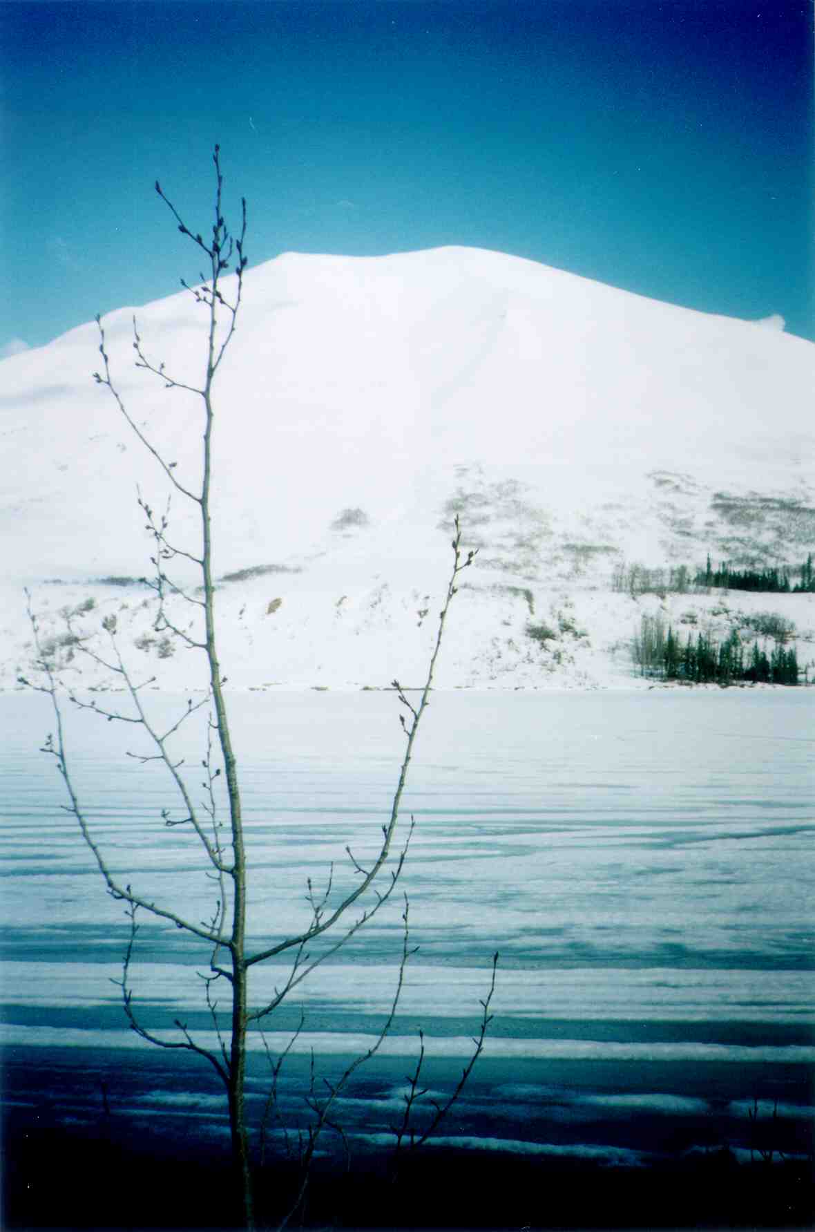 Frozen Lake