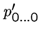 $p'_{0\ldots 0}$