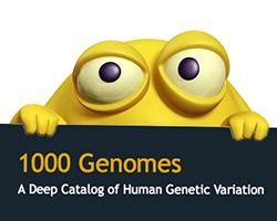 Sneaky Bacteria Impersonate as Humans. Yellow Germ 1000 Genomes A Deep Catalogue of Human Genetic Variation Picture: Fotolia/Albert Ziganshin